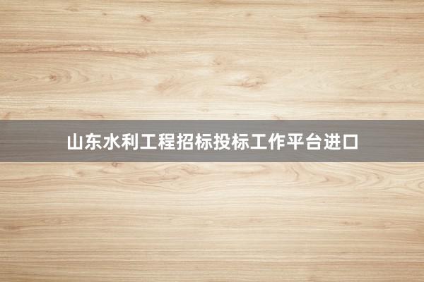 山东水利工程招标投标工作平台进口